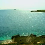 Irena 프레멘투라