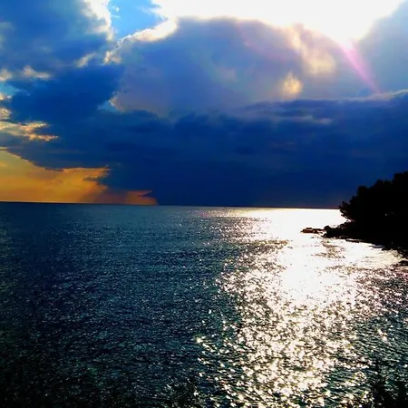 Irena * 普莱曼图拉