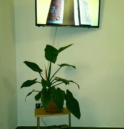 Irena Apartman